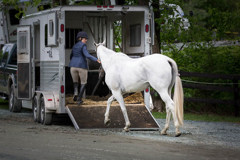 Different Horse Trailer Types – Choosing the Right One For You